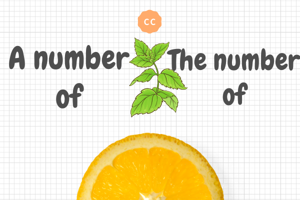 Phân biệt A number of và the number of