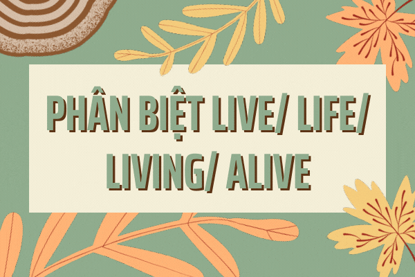 Phân biệt live, life, living và alive